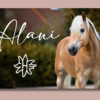 Magnet-Spindschild – Bild 7
