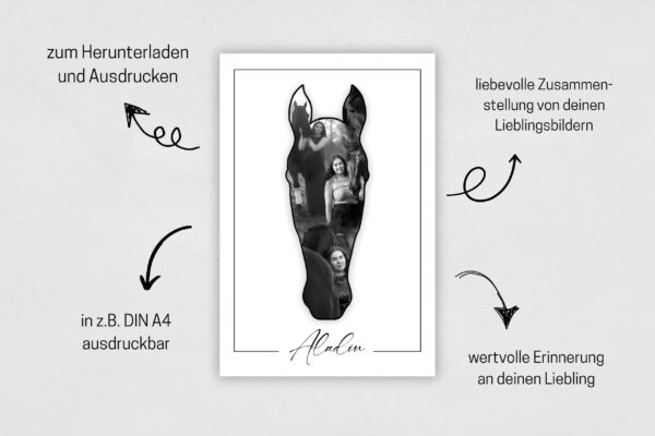 digitales Pferdeportrait – Bild 2