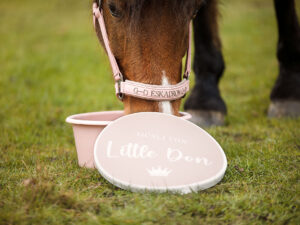 Futtersticker Rund Basic